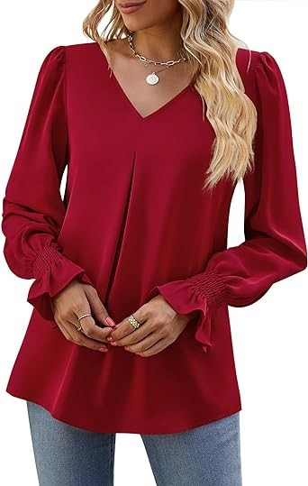 Funlingo Women's 2023 Long Sleeve Tops Dressy Casual V Neck Tunic Shirts Loose Chiffon Work Blouse